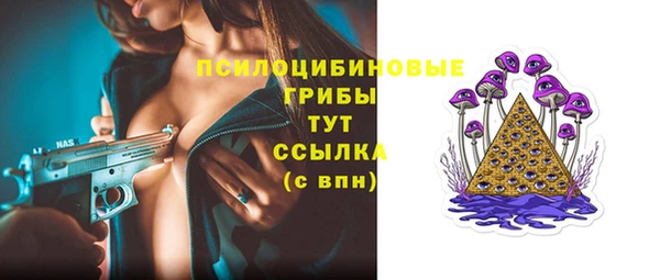 молекула духа Белокуриха