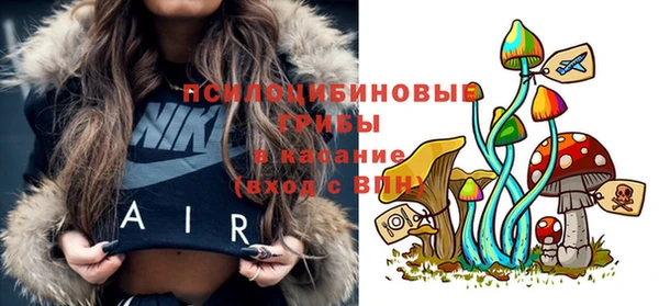 молекула духа Белокуриха